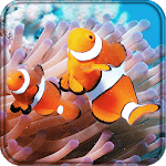 Clownfish 3D Live Wallpaper icon
