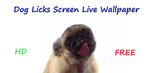 Dog Licks Screen LWP HD pc screenshot