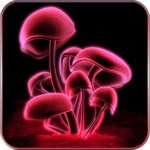 Mushroom 3D Live Wallpaper icon