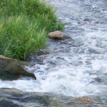 moving water live wallpaper icon