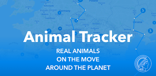 Animal Tracker pc screenshot Animal Tracker pc screenshot