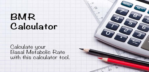 BMR Calculator pc screenshot