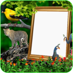 Love Bird Insta DP – Forest Animal Insta DP Maker icon
