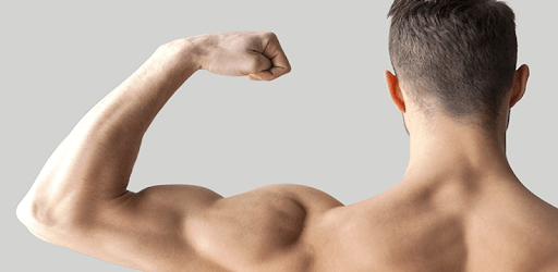 Muscle Editor - Bodybuilding pc screenshot