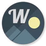 Wally icon