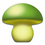 Mushroom - Mushtool icon