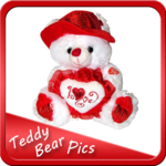 Latest Teddy Bear Gallery 2018 (Offline) icon