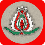Pocket Hungarian icon