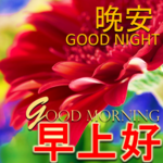 Chinese & English  Morning Afternoon Evening Night icon