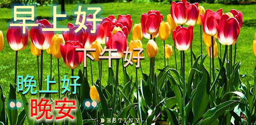 Chinese Good Morning Noon Good Night Love pc screenshot Chinese Good Morning Noon Good Night Love pc screenshot