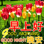 Chinese Good Morning Noon Good Night Love icon
