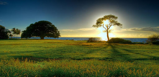 Nature Wallpaper HD pc screenshot Nature Wallpaper HD pc screenshot