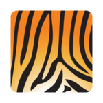 Asset Tiger icon