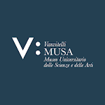 MUSA icon