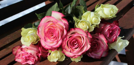 Rose Wallpaper, Floral, Flower Background: Rosely pc screenshot Rose Wallpaper, Floral, Flower Background: Rosely pc screenshot