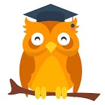 Code Kotlin icon