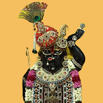 Shri Govardhannathji ni Haveli @Naman Towers icon