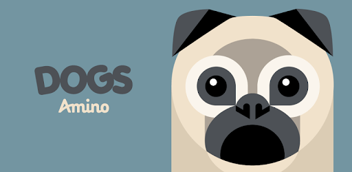 Dogs Amino pc screenshot Dogs Amino pc screenshot