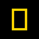 National Geographic icon