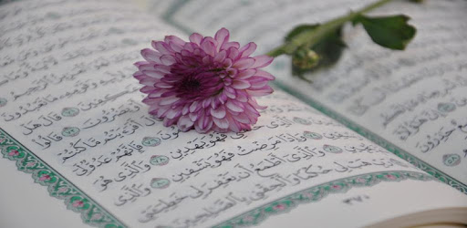 15 line Hafizi Quran pc screenshot