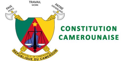 Cameroonian Constitution pc screenshot