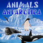 Antarctica Animals icon