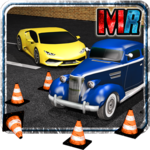 3D Parking Perfection icon