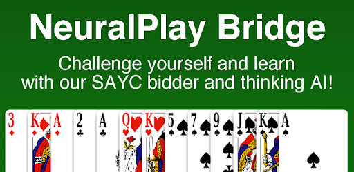 Bridge by NeuralPlay pc screenshot