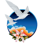 New Image International icon