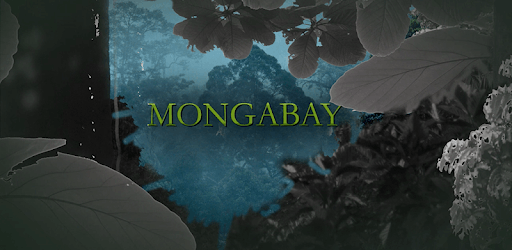 Mongabay Environmental News pc screenshot Mongabay Environmental News pc screenshot
