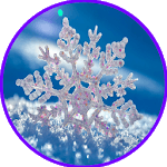 Snow HD Live Wallpaper icon