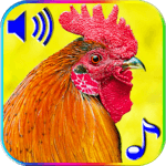 Funny Alarm Ringtones icon