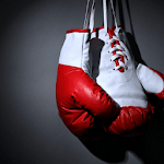 New Wallpapers Boxing 2017 icon