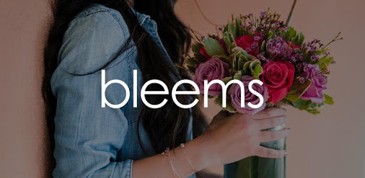 Bleems pc screenshot