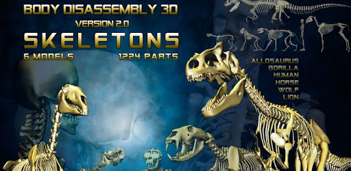 Body Disassembly 3D pc screenshot Body Disassembly 3D pc screenshot