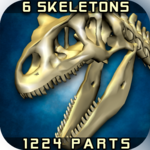 Body Disassembly 3D icon