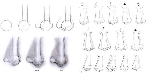 Nose Drawing Step by Step pc screenshot