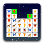Pet Connect icon