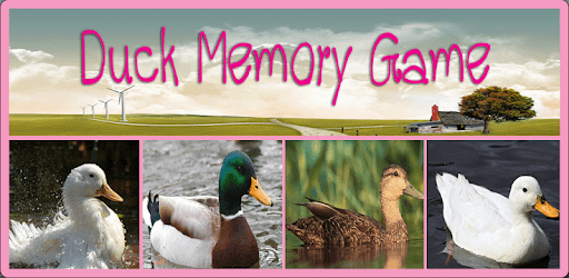 Duck Memory Game pc screenshot Duck Memory Game pc screenshot