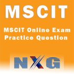 MSCIT Online Exam Practice for pc icon