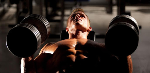 gym workout - home workout - gym workout guide pc screenshot gym workout - home workout - gym workout guide pc screenshot