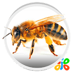 Bee icon