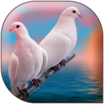 Heart Touching Stories icon