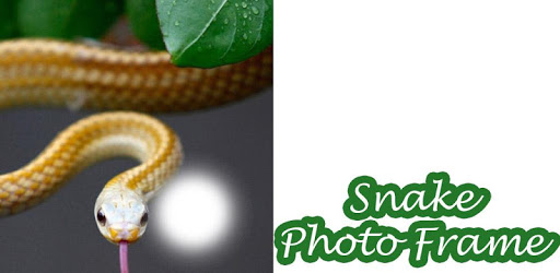 Snake Photo Frame pc screenshot Snake Photo Frame pc screenshot