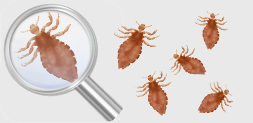 Lice Detector (prank) pc screenshot