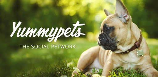 Yummypets - Dogs Cats Network pc screenshot Yummypets - Dogs Cats Network pc screenshot