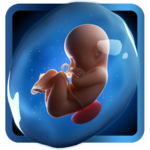 PregApp - 3D Pregnancy Tracker for pc icon