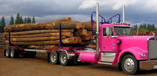 Jigsaw Puzzles Kenworth W900 pc screenshot Jigsaw Puzzles Kenworth W900 pc screenshot