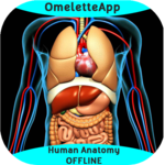 Human Anatomy - OFFLINE icon