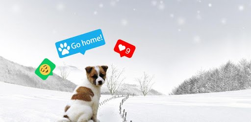 Intag - giddy photo editor pc screenshot Intag - giddy photo editor pc screenshot